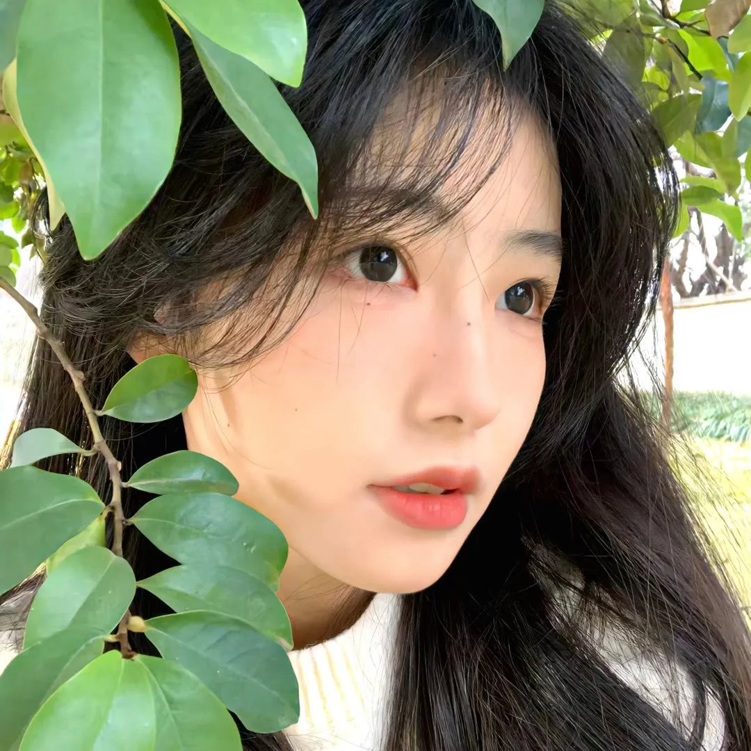 残菊物语