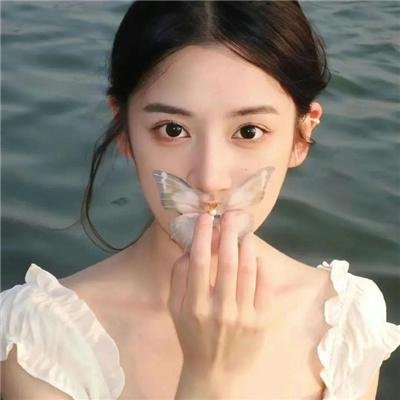 陈情令