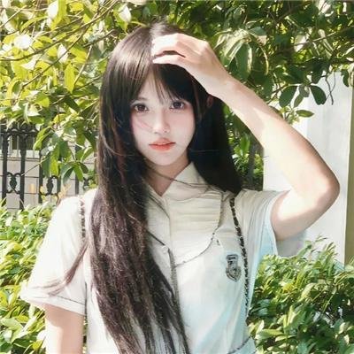 仙人掌